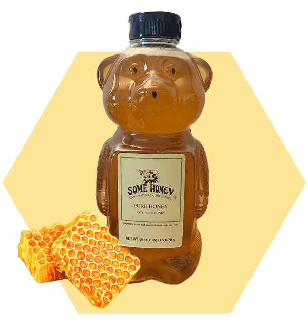 Bear_w_Honeycomb